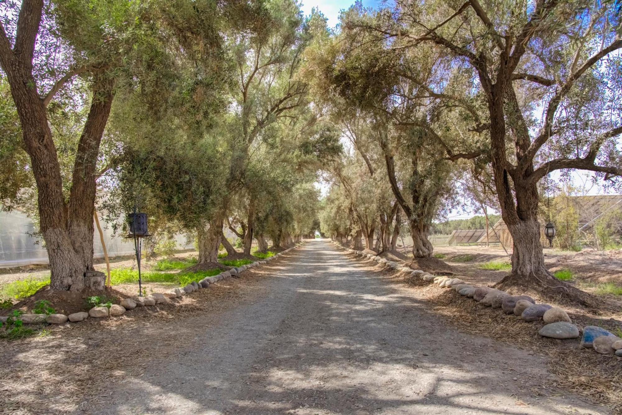 Riad Elaissi Taroudant Bagian luar foto